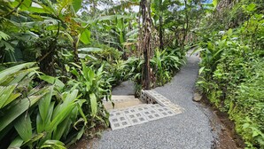 A gravel path flanked by lush tropical vegetation, leading to a concrete staircase. - Charming 1-bedroom chalet in lush Poas with cascading pools & raw nature  WiFi (Poas)