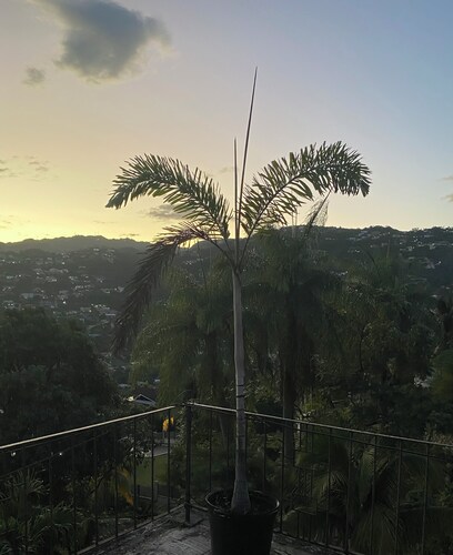 Charming B&B with AC, treadmill, WiFi in Soothing Stony Hill close to Manor Pk.