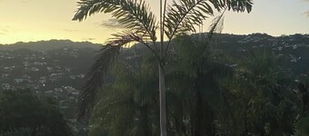 Charming B&B with AC, treadmill, WiFi in Soothing Stony Hill close to Manor Pk.