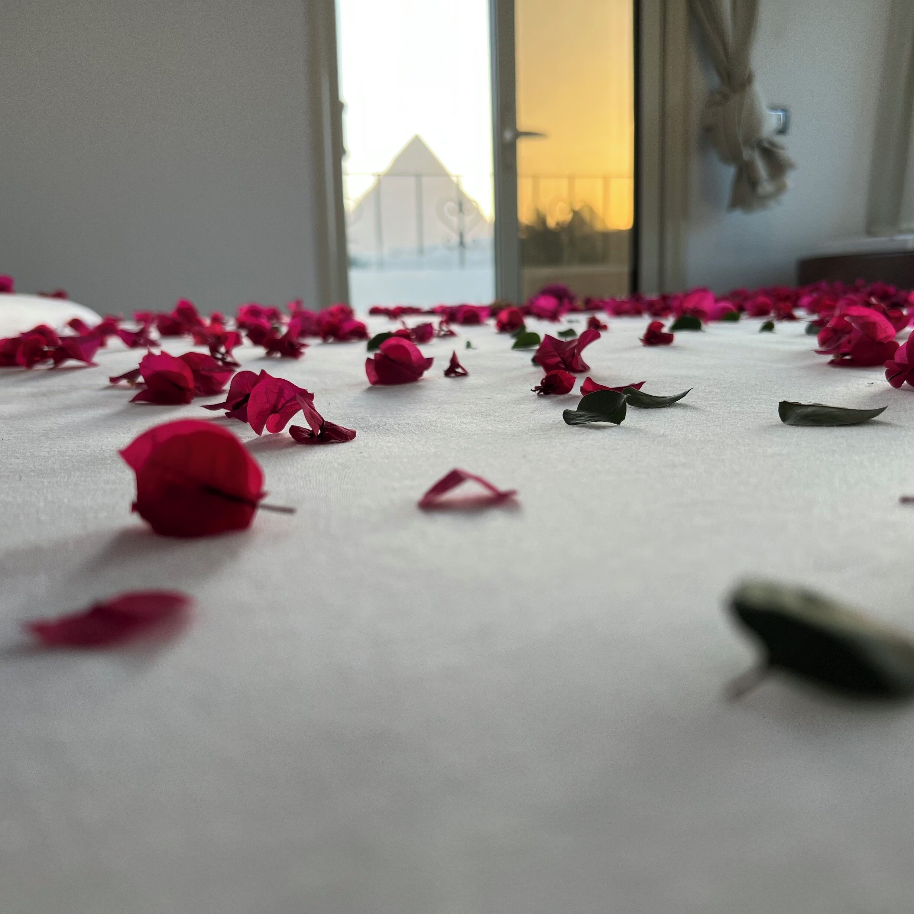 Foto - New Arena pyramids VIEW