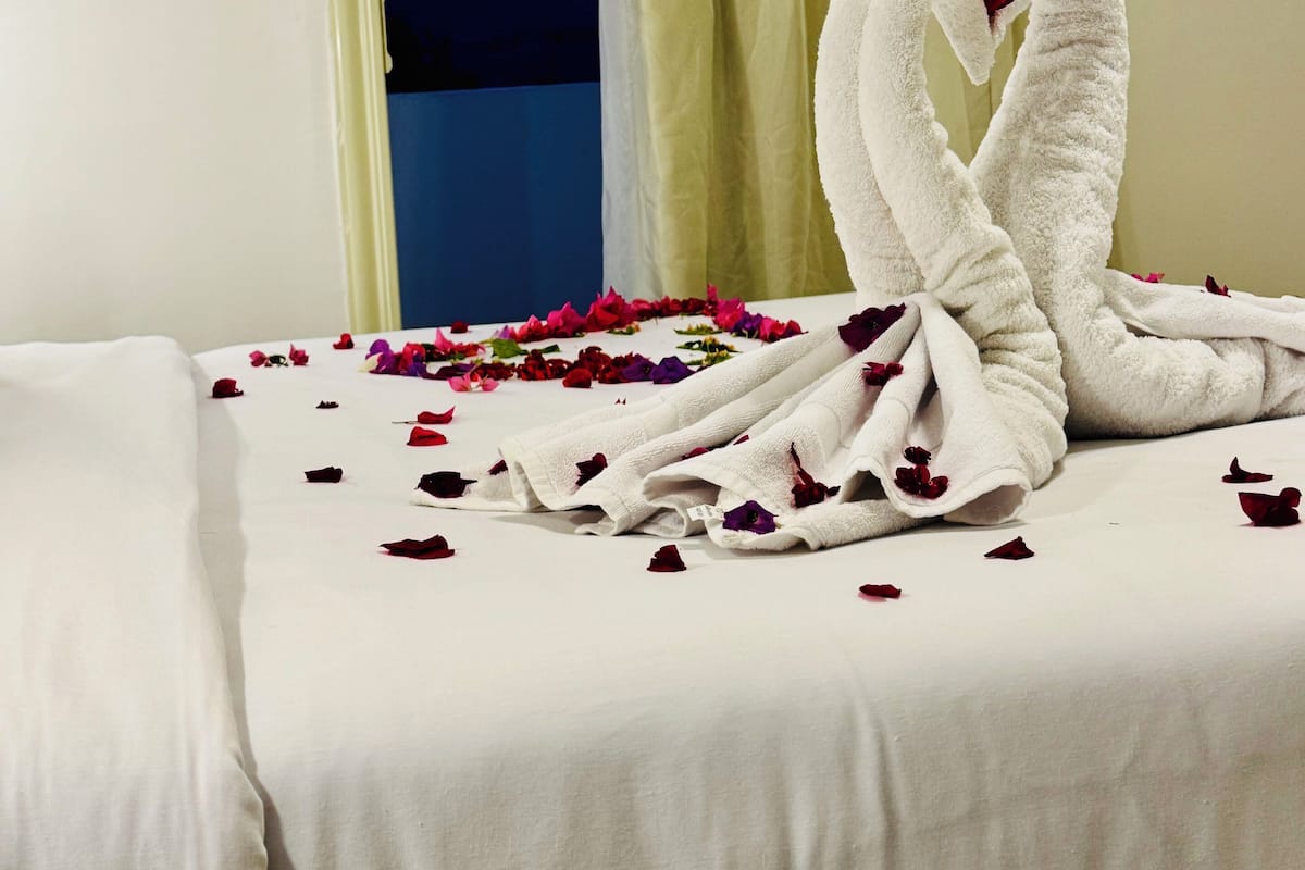 Premium bedding, down comforters, pillowtop beds, minibar