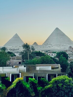 View from room - Arena Pyramids View (Giza)