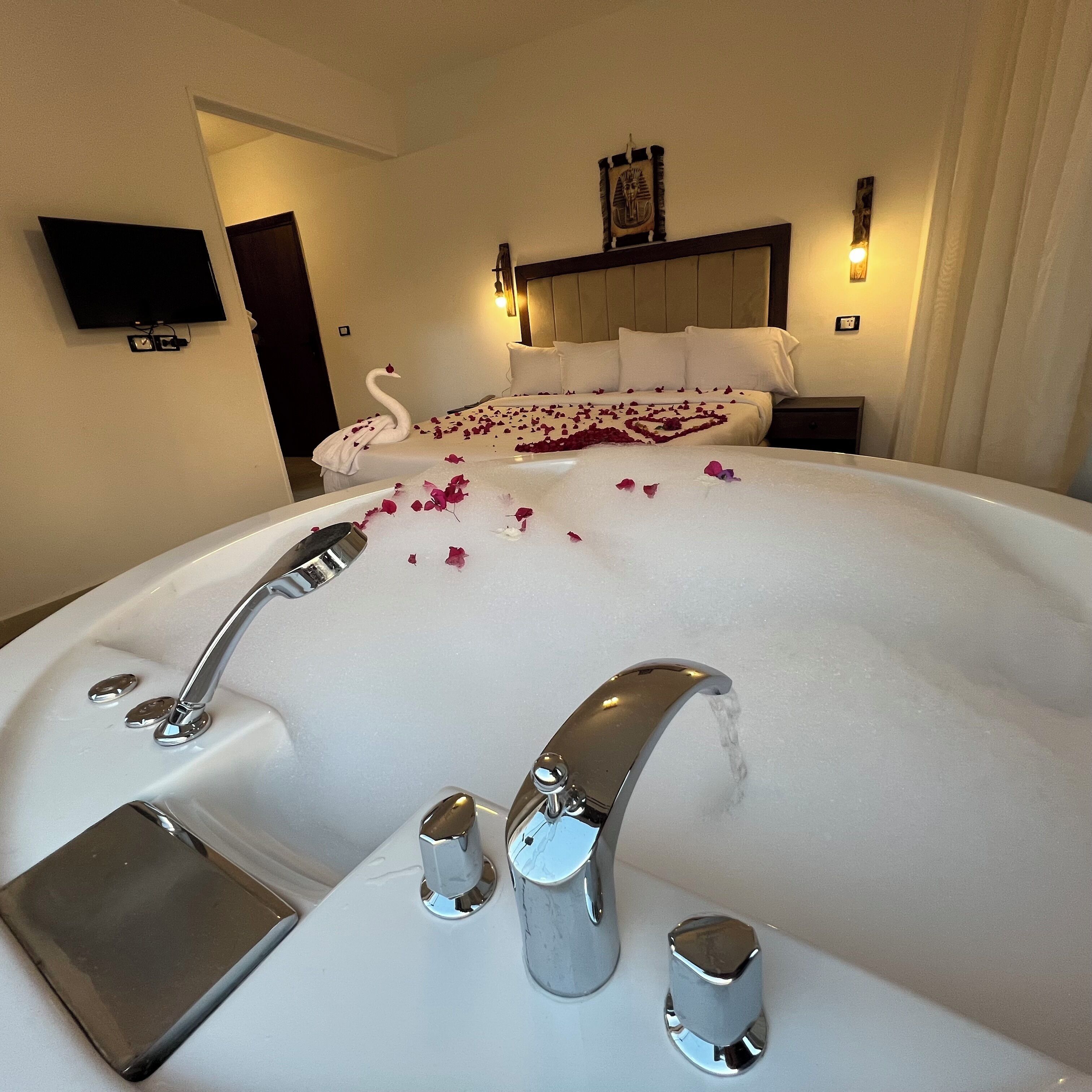 Foto - New Arena pyramids VIEW