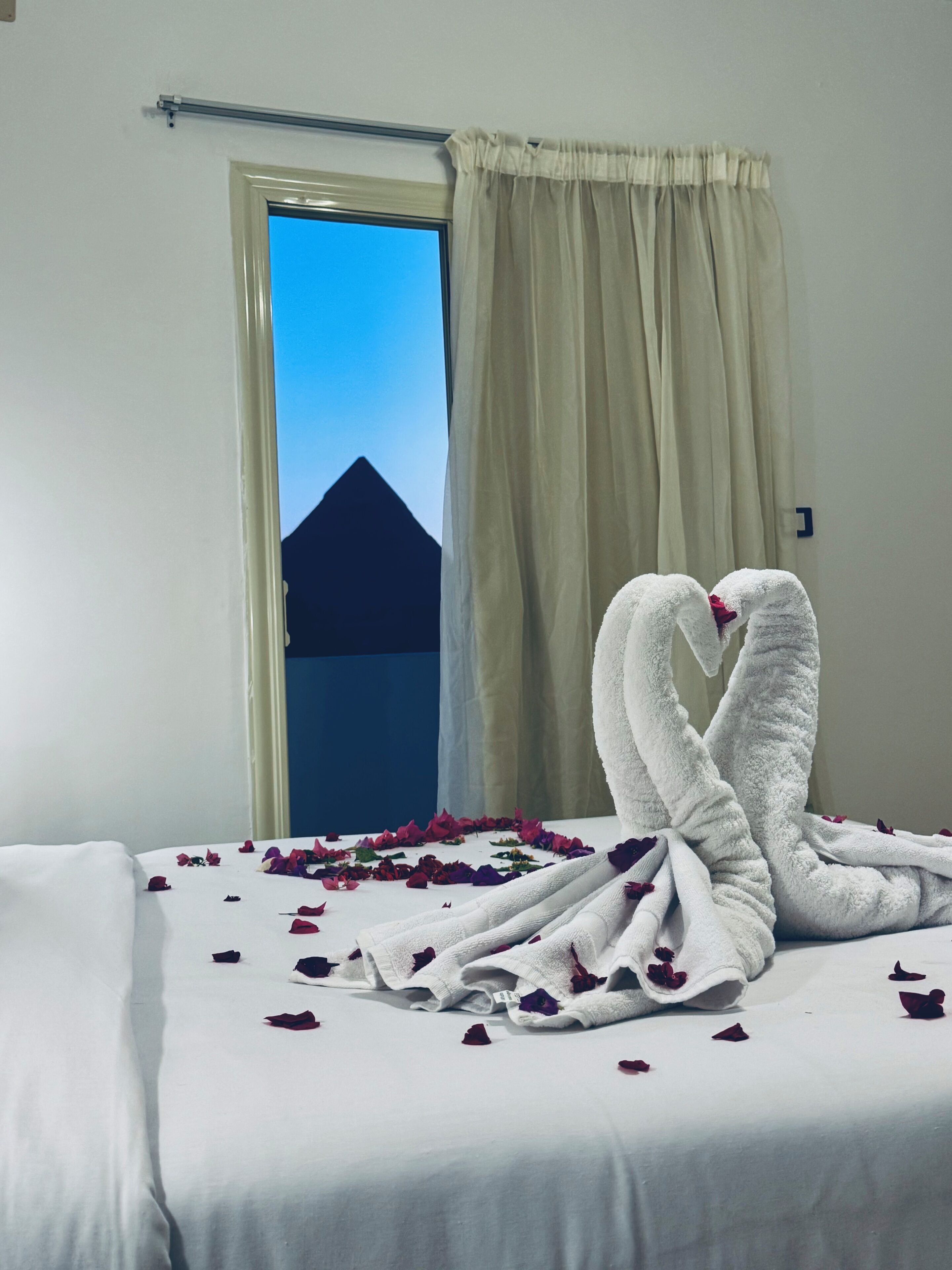 Foto - New Arena pyramids VIEW