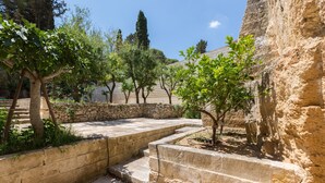 Un chemin de pierres menant à un mur de pierres, avec un petit arbre dans une cour.