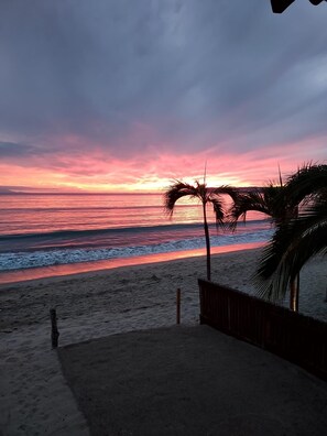 A beach with a wooden fence and palm trees. - Beachfront Studio in Bucerías with Terrace – Direct Beach Access (Bucerías)