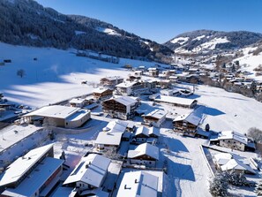 Aerial view - Daniela by Interhome (Niederau)