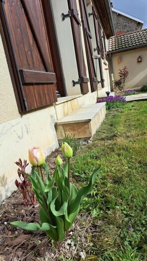 Detalle exterior