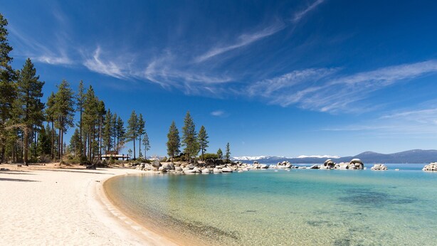 A beach with clear turquoise water, sandy shore, and tall pine trees.