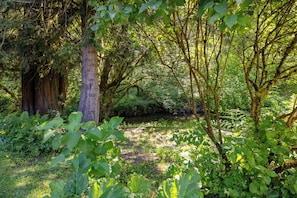 A dense forest with a variety of trees and undergrowth. - American Alps Lodge: Riverfront, Beach, Hot Tub, EV Charger, Game Room (Marblemount)