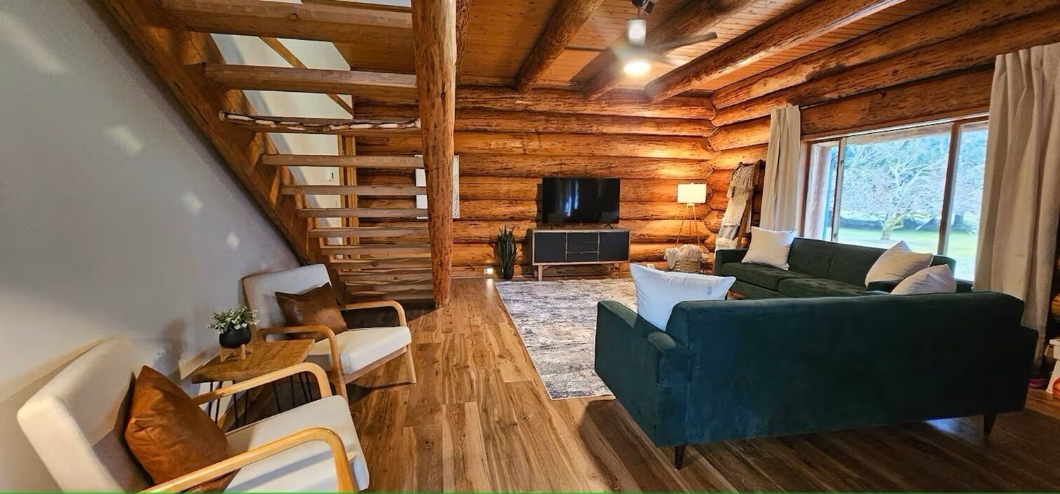 Smart-tv, pejs, videospil, bøger