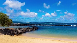 A beach with clear blue water, a rocky shoreline, and a tree on the left.
