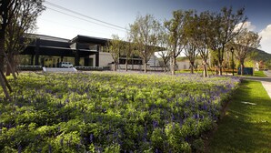 Un edificio moderno con un área exterior cubierta y un jardín con flores moradas.