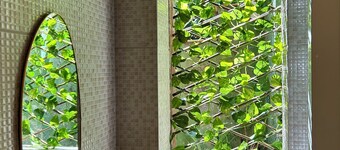 Cozy chalet in harmony with nature in the Tijuca Forest in Rio de Janeiro.