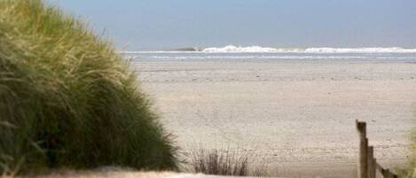 House | Beach