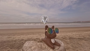Cena de praia com um logotipo no céu.