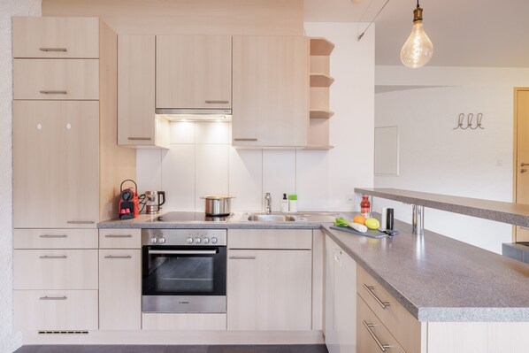 Fridge, oven, dishwasher, coffee/tea maker - Chasa Plazzetta - 3-room apartment, ideal location in the heart of Scuol (Scuol)