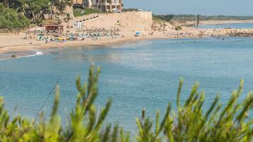 ๋น๋ผ | ์๋ฐ ์์ค์ ์ ๋ง