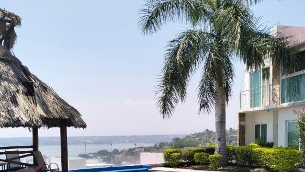 Una piscina con una struttura a tetto di paglia e una palma.