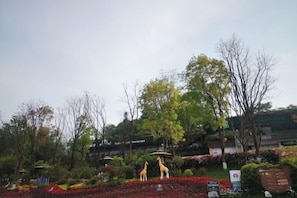 Miscellaneous - Yi Xian Ju Inn (Ya'an)