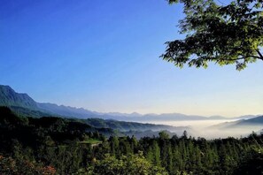 Un paisaje montañoso con cielo despejado, bosque denso y una neblina visible sobre el valle.