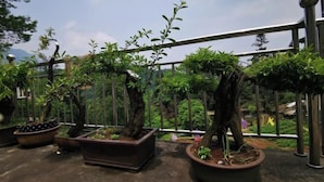 A rooftop garden with potted plants and a metal railing. - Yi Xian Ju Inn (Ya'an)