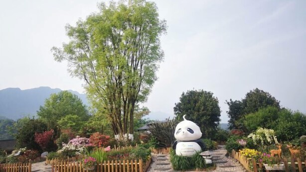 A garden with a large panda statue, various plants, and a wooden fence. - Yi Xian Ju Inn (Ya'an)