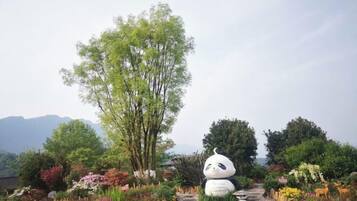 Jardines del alojamiento