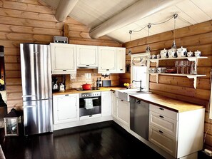 Fridge, oven, stovetop, dishwasher