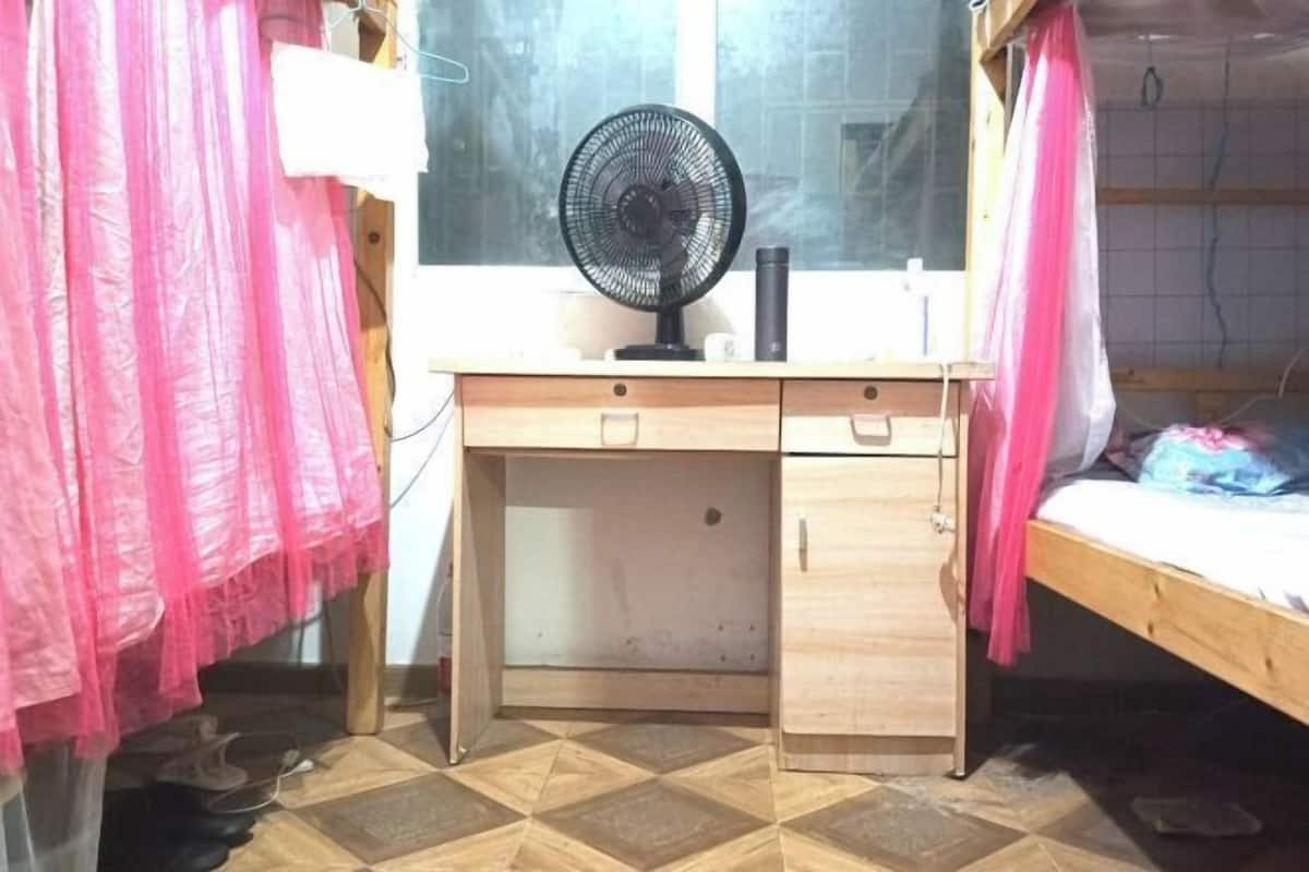 A room with a wooden desk, a standing fan, a bed with a pink curtain, and a window with a view.