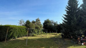 Une cour arrière verdoyante avec une balançoire en bois, un grand arbre à feuilles persistantes et une haie.