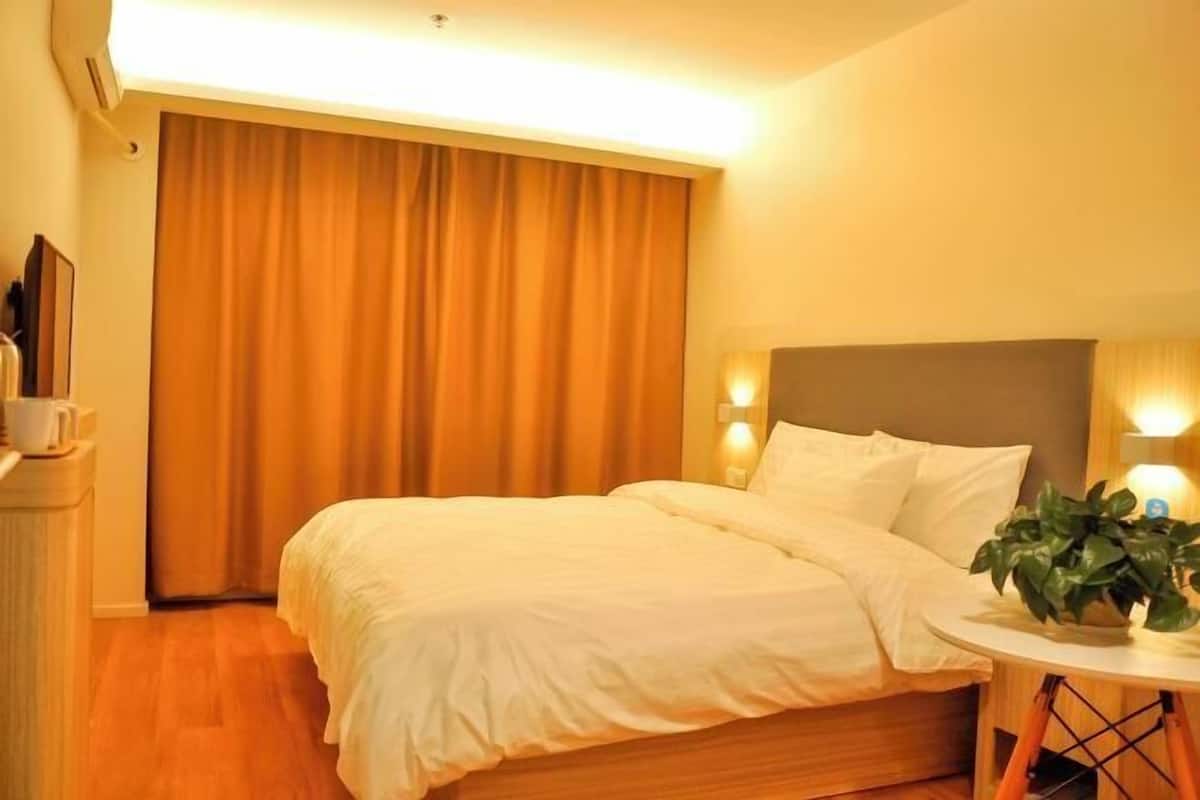 Une chambre d’hôtel avec un lit, une table de chevet avec une lampe, une plante en pot et un rideau.