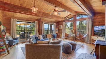 Una televisión, una chimenea, libros