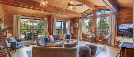 Televisión, chimenea y libros