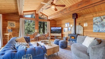 TV, fireplace, books