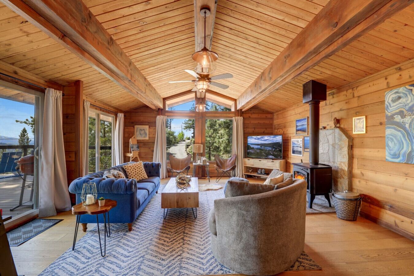 TV, fireplace, books