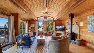 TV, fireplace, books