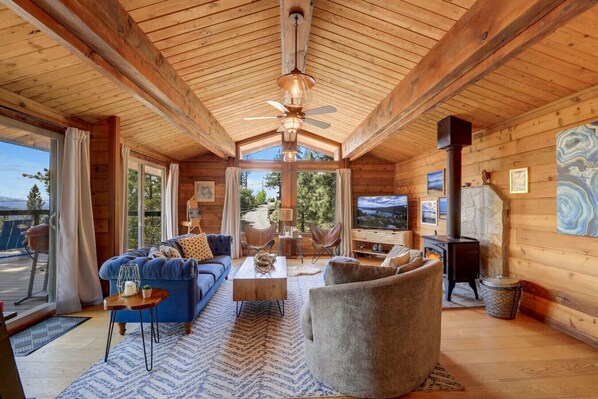 TV, fireplace, books