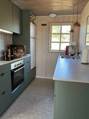 Fridge, oven, stovetop, dishwasher