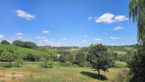 Miscelánea