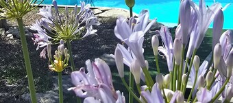 An enchanted interlude in the countryside Villa, swimming pool, jacuzzi just for you