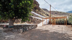 Et rustikt udendørsområde med en pergola, en stenvæg og et træ.