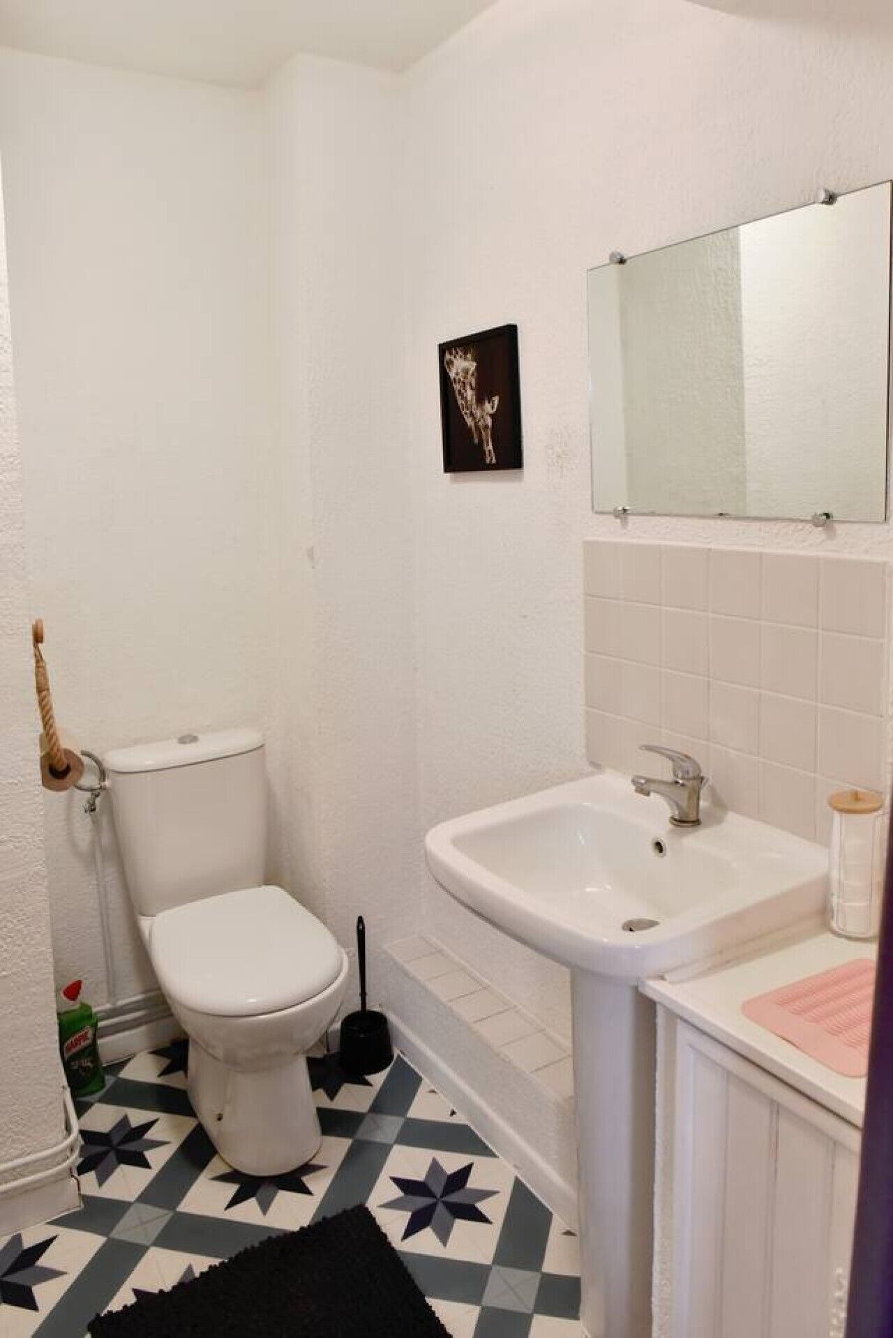 Shower, hair dryer