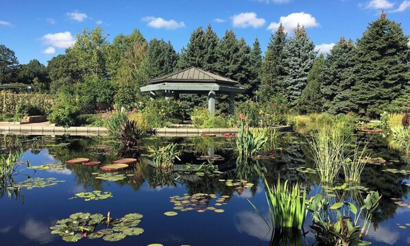 A gazebo in a park with a pond, surrounded by trees and plants.