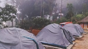 A row of tents with a dirt path in the foreground, surrounded by trees and a few buildings in the background. - pickurstay vbss camping (Gangaraju Madugula)