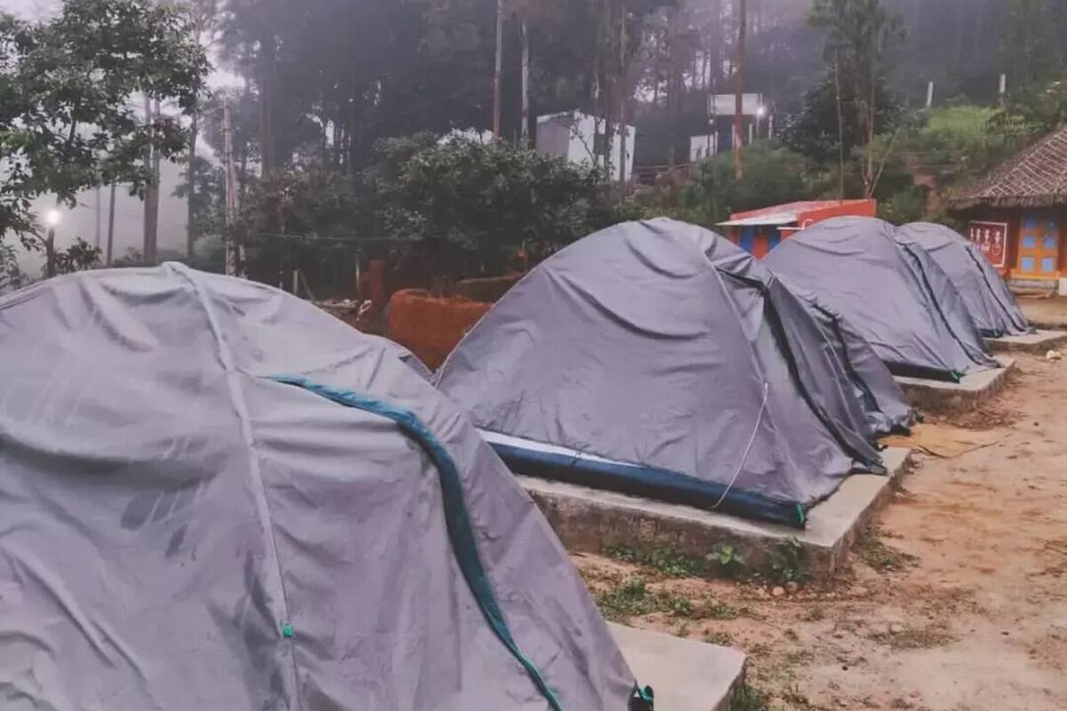 Una hilera de tiendas de campaña con un sendero de tierra en primer plano, rodeadas de árboles y algunos edificios al fondo.