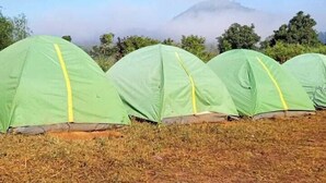 A row of green tents with yellow seams, set in a dry grass field with a mountain and trees in the background. - pickurstay vbss camping (Gangaraju Madugula)