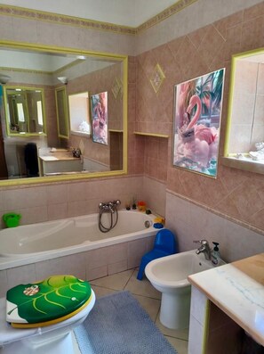 Shower, hair dryer, bidet, towels