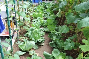 Garden - Baihewan Rural Guest House (Beijing)