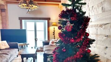 Televisión, reproductor de DVD, libros